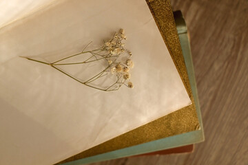 Pressed gypsophila flower and stack of beautiful vintage books on the table. Top view.