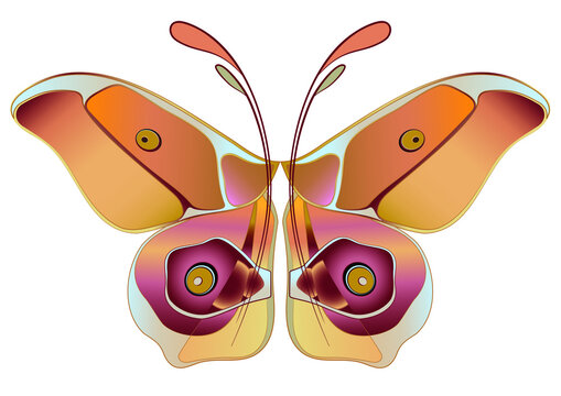 Stylized Butterfly Imbrasia Epimethea. Isolated handdrawn line art in abstract shape. Vector illustration for surface design, wall art print or paper cover. Can be used as Website element or pattern