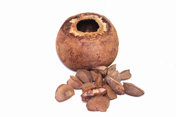 Castanha-do-Par&aacute;