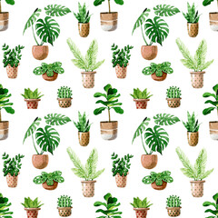 Watercolor seamless pattern. home plants in pot, isolation on white background.