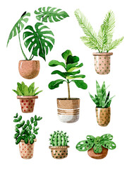 Watercolor  home plants with pots, set, isolated on white background.
