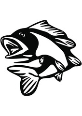 Fish, Fishing, Outdoor, Fisherman, Sea life, Underwater