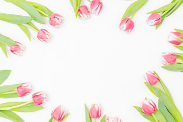Flat lay composition with pink tulips on white background