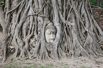 AYUTTHAYA, THAILAND - MAY 25, 2018: Buddha's Head entwined in the roots of a Tree in Wat Mahathat Temple in the Ayutthaya Historical Park in Ayutthaya (second capital of the Siamese Kingdom). 