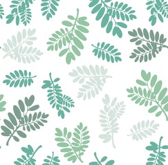 Sketch botanical illustration. Leaves and plants varied in shape. Can be used for greeting cards, textures, backgrounds, posters.