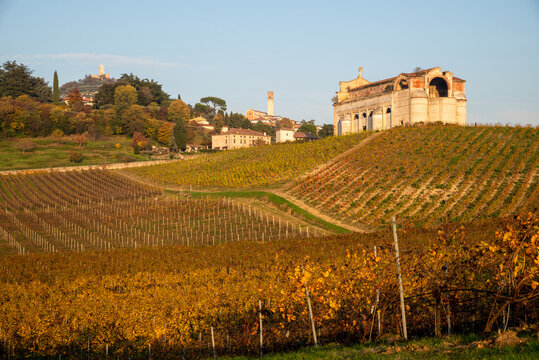 Beautiful autumn landscape of yellow, orange, green vine rows, with the unfinished church of Brendola in the province of Vicenza in Veneto Italy.