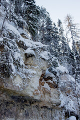 Nature Reserve of Russia, Arkhangelsk region Golubino