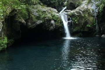 Fototapeta premium waterfall in the forest