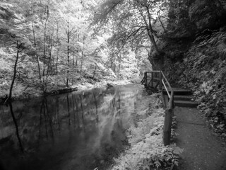 Imagen en blanco y negro infrarrojo digital de la Garganta de Vintgar, Eslovenia
