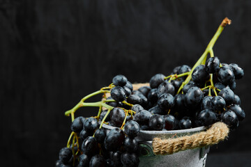 A cluster of black grapes in bucket on dark background