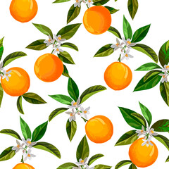 Seamless citrus vector pattern on white background. Hand drawn illustration with oranges.