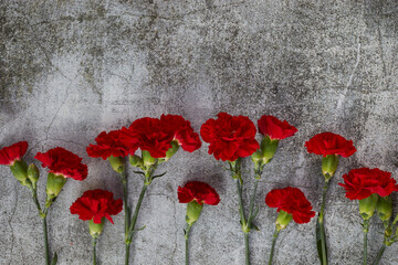 Beaytiful carnation flowers on grey background. Top view