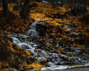 waterfall in autumn forest