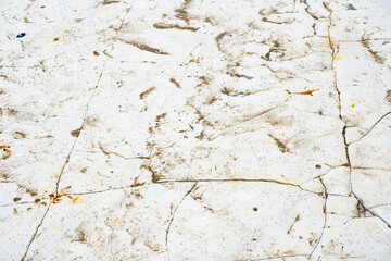 Chalk beach sea bed with cracks in kent