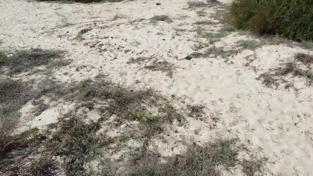 Sand