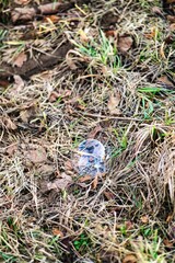 Auf dem Boden liegende Seifenblase auf einem Feld 
