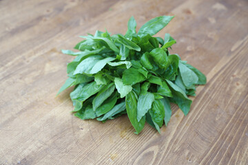 fresh tarragon greens for drinks and various dishes