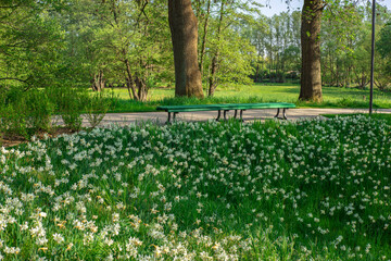 Bank vor einer Wiese