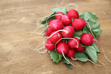 fresh radish bunch for salads