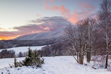 Colorful, winter sunrise in the Bieszczady Mountains, view of snow-covered trees, fields and meadows