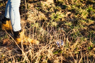 Seifenblase landet vor einer jungen Frau auf einem Feld in Bayern, Deutschland