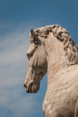 Fototapeta premium Sculture of horse in Rome, Italy
