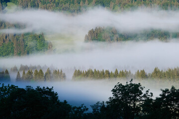 Nebelschwaden ziehen durchs Tal an einem k&uuml;hlen Fr&uuml;hlingsmorgen