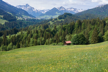 Bergsommer im Kleinwalsertal