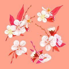 Five cherry blossom arrangements. Digital illustration. International Women's Day