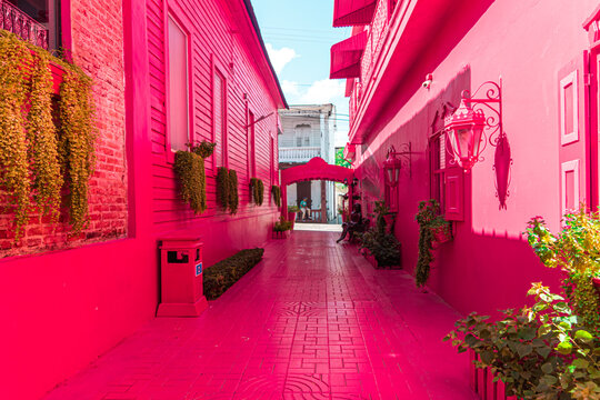 pink room in the Dominican Republic