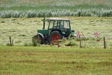 Traktor im Ernteeinsatz beim Heuwenden