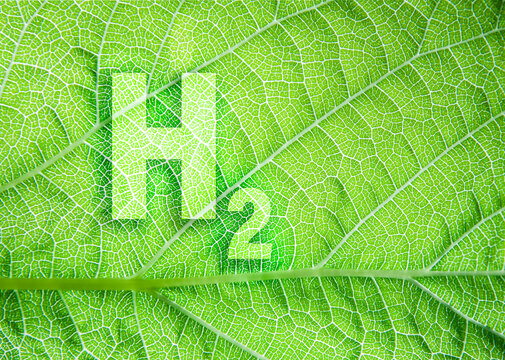 Green hydrogen energy symbol on a leaf texture. Ecological and sustainable alternative to fossil fuels Concept