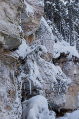 Fototapeta na wymiar Nature Reserve of Russia, Arkhangelsk region Golubino