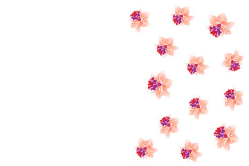Frame made of flowers. Pattern of daffodils on a white background. Empty space for text