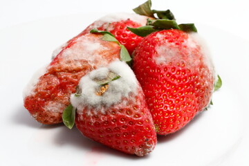 strawberries in bad condition with mold