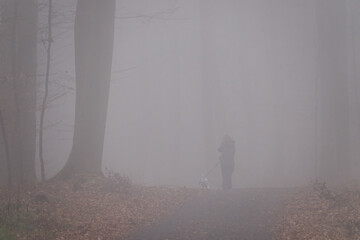 Frau beim Spaziergang mit dem Hund durch den Wald bei dichtem Nebel
