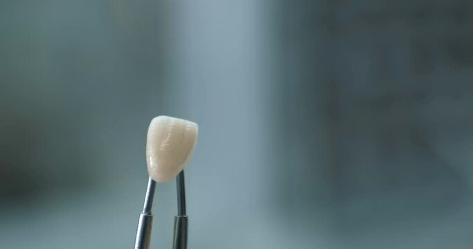 A medical technician is holding a model of an artificial tooth by tweezers and covering it with transparent powder using a brush.