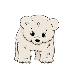 Vector cute cartoon little polar bear cub stands on all legs and looks down. Outline Animal is isolated on white background. Front view