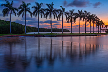 Obraz premium Sunrise in Coconut Grove