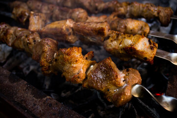 shish kebab on the grill