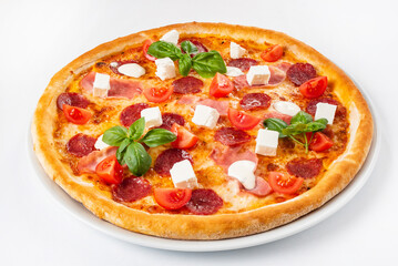 pizza on the white background