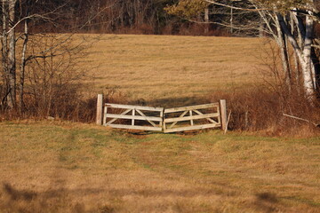 The Gate