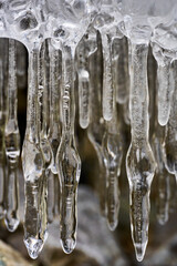 Icicles on the river
