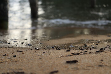 Shoreline Under the Pier