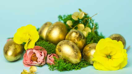 Easter celebration, spring concept. Heap of coloured golden eggs, primroses flower heads and green moss. Easter eggs decorated spring flowers.
