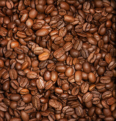 Abstract, textured coffee beans background.