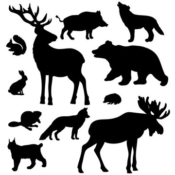 Black silhouettes of forest animals on a white background