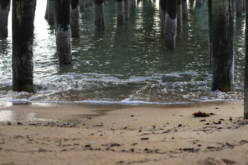 Shoreline Under the Pier