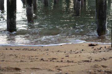 Shoreline Under the Pier