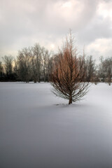 SurroundedBySnowAdobeStock